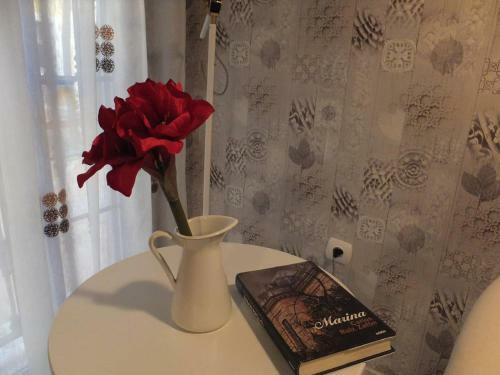 Tranquilo Y C�ntrico Apartamento C/alfonso XIII