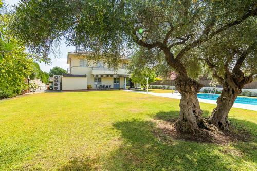 La Casa Del Olivo En C�rdoba