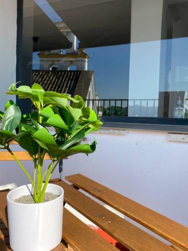 Apartamento Atico Casa Lola