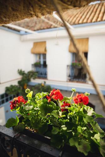 Apartamento Casa Sirfantas