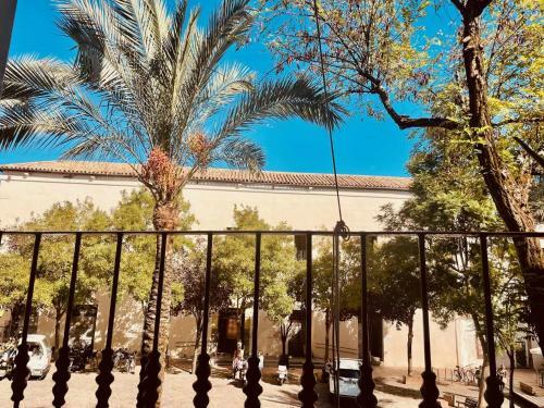 Precioso Apartamento En Plaza de Las Ca�as