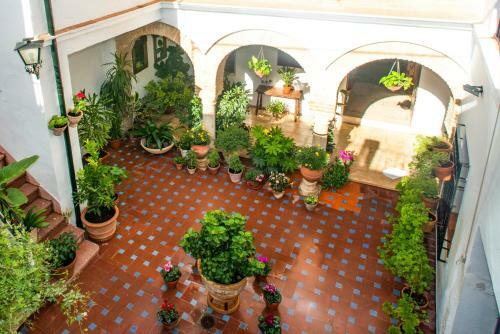 Apartamento El Patio De Regina