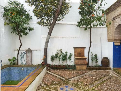 Apartamento Riad Mezquita de C�rdoba