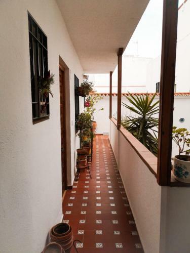 Apartamentos Ruz