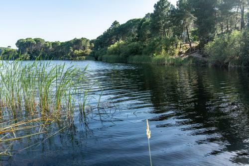 Las Terrazas Del Lago Alojamiento Rural