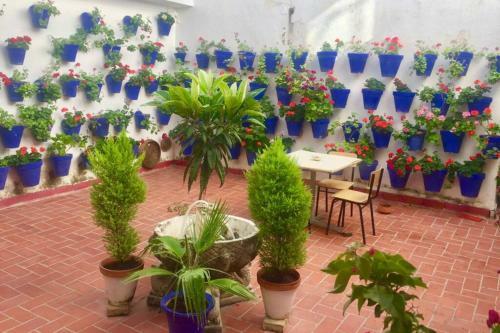 Apartamento Toril-casco Hist�rico