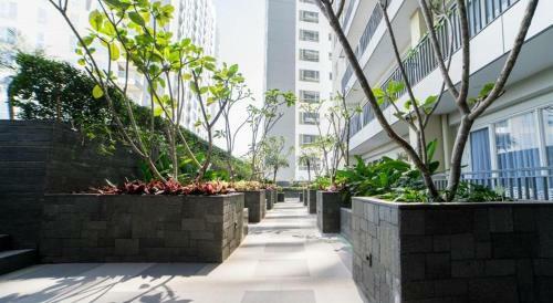 Bacup Studio Apartment @galeri Ciumbuleuit