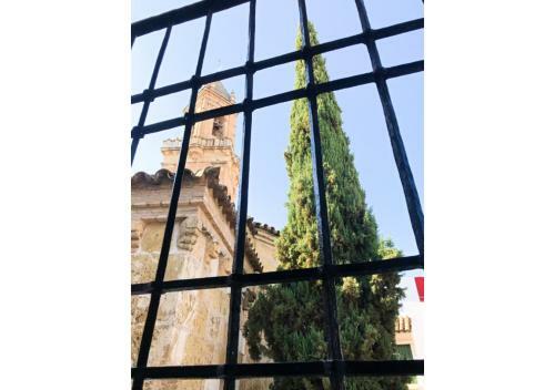 Apartamento Patio San Andr�s