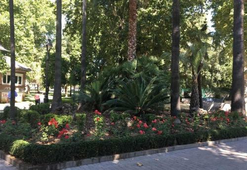 Apartamento C�rdoba Turismo Vacacional Ttluga