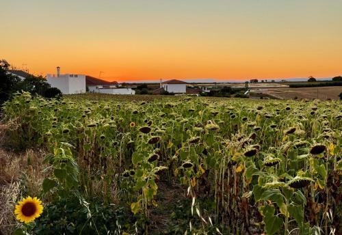 Stunning 4-bed Roman Villa Spain's Golden Triangle