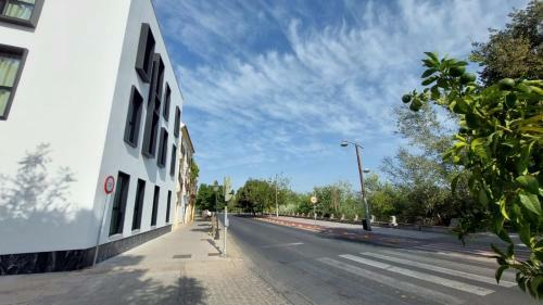 Apartamentos Ribera 19