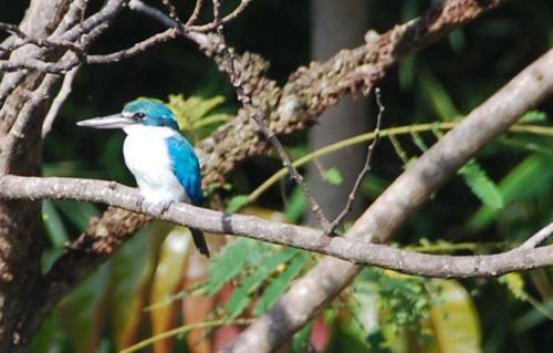 Rumah Lereng Bandung