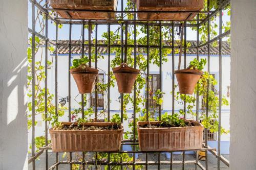 Apartamento Con Patio Cordob�s En San Basilio