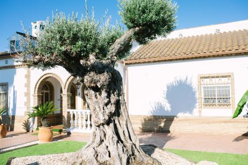 Apartamento Casa Rural El Olivo de C�rdoba