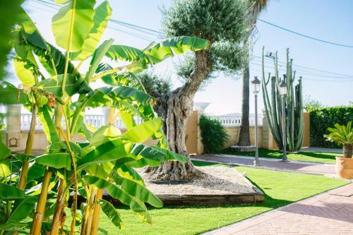 Apartamento Casa Rural El Olivo de C�rdoba