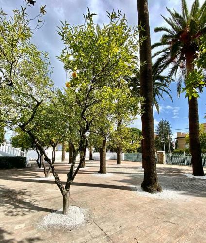 Apartamento Nuevo! Los Almendros 103 Complejo Tur�stico