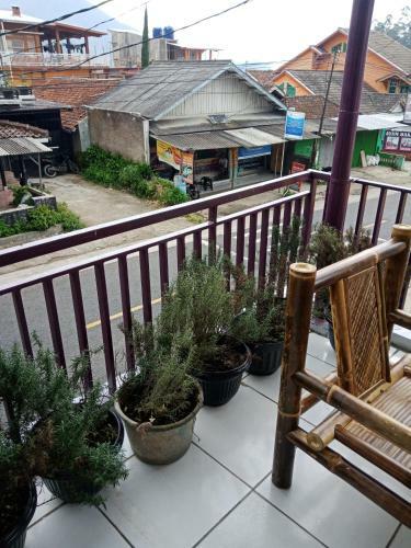 Ravi Homestay Ciwidey, Bandung