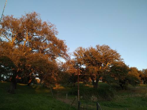 Agroturismo Cercado Forero