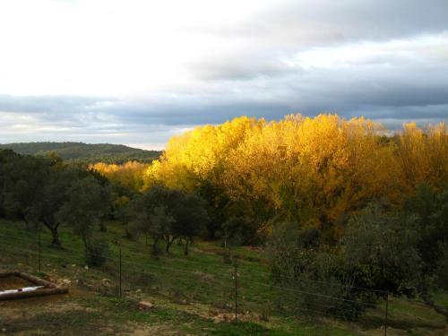 Villa Vivienda Rural Olivar Del Chanza