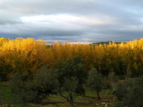 Villa Vivienda Rural Olivar Del Chanza