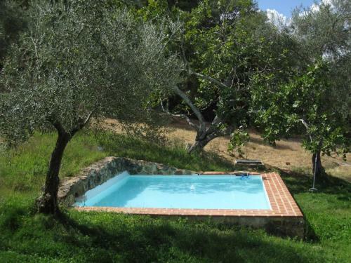 Villa Vivienda Rural Olivar Del Chanza