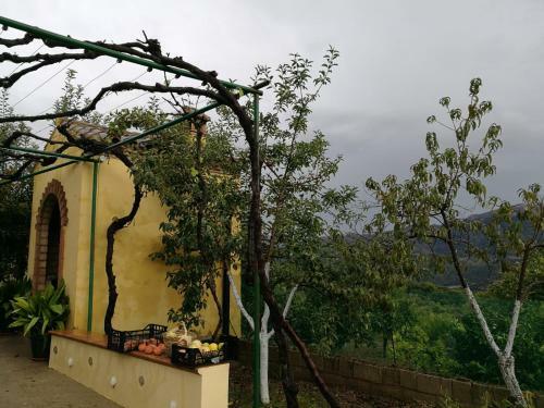 Agroturismo Casa El Pino