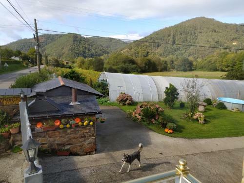 Apartamentos Casa Alvarina - Luarca