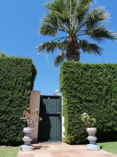 Villa Chalet Exclusivo Costa Ballena