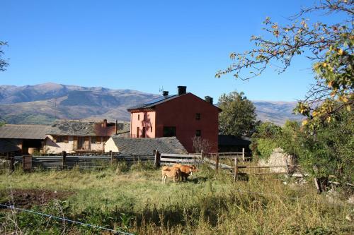 Apartamento Cal Barn�, Eco-apartament A Das Amb Jard�