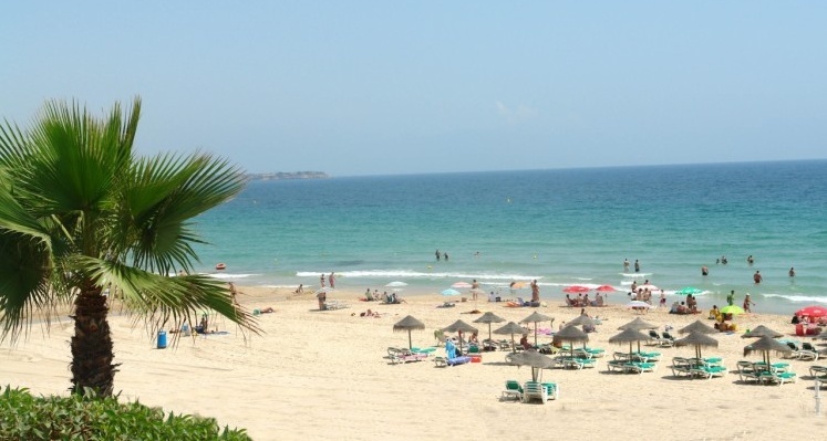 Apartamentos Palmera Beach