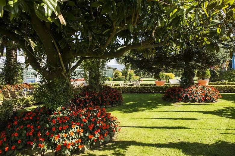 Hotel Nuevo Astur