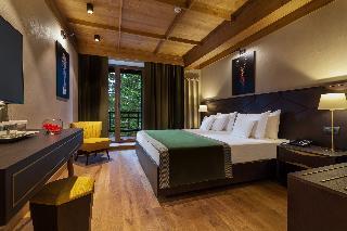 Bradul Hotel