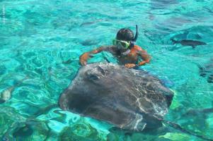 Hotel Marina El Cid Spa & Beach Resort All Inclusive