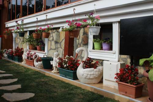 Agva Sahil Yildizi Hotel