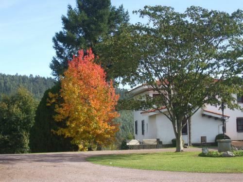 Albergue Hospeder�a San Jos�