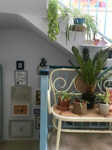 El Patio Del Limonero