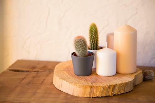 Apartamento Alojamiento Rural Villa Bagh