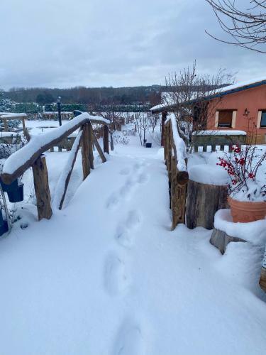 Apartamento Alojamiento Rural Villa Bagh