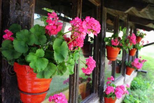 Casa Rural Mertxenea Landetxea