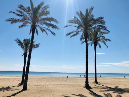 Apartamento Loft San Antonio