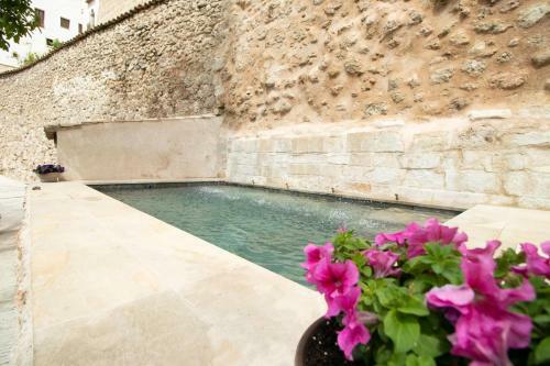 Huerto De Mateo Arana