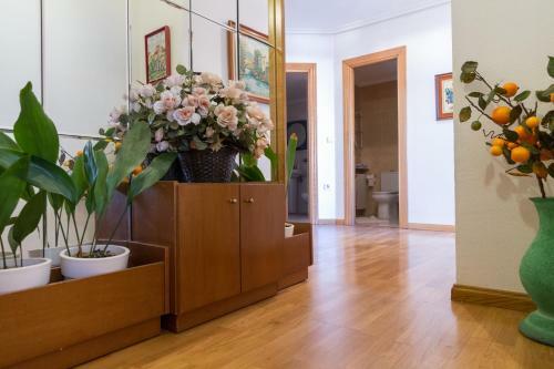 Apartamento Garcilaso De La Vega