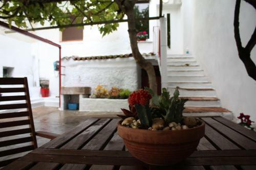 Apartamento La Casa Del Arbol
