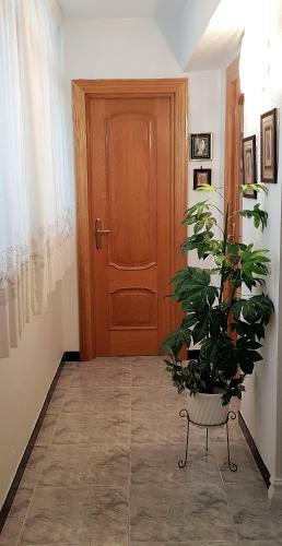 Apartamento Armon�a:c�ntrico, Tranquilo Y Acogedor