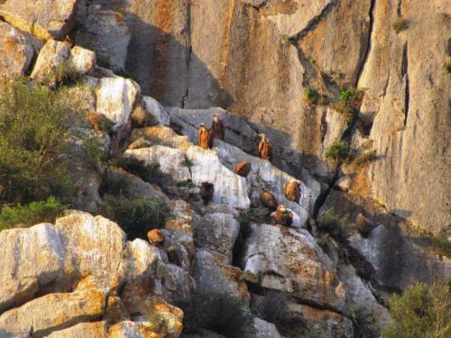 Casa Rural La Teja (caminito Del Rey)
