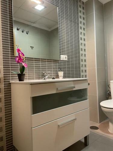 Apartamento Penthouse In Elche