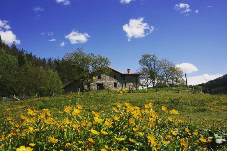 Agroturismo Casa Rural Abatetxe