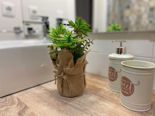 Apartamento Rural El Bandolero