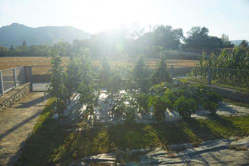 Agroturismo La Mama
