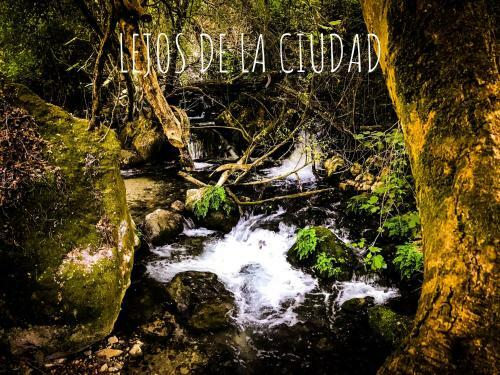 Apartamento El Bosque, Tu Entrada A La Sierra Gaditana.
